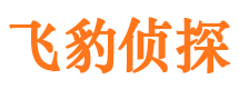 青原侦探公司